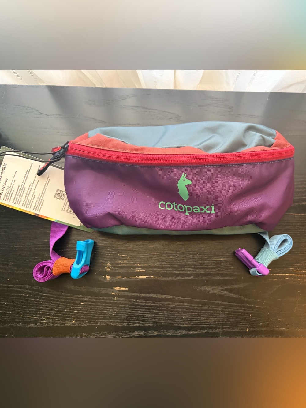 cotopaxi Del Dia Bataan Waist or Crossbody Pack NWT